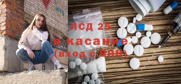 стаф Аркадак