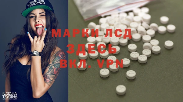 стаф Аркадак