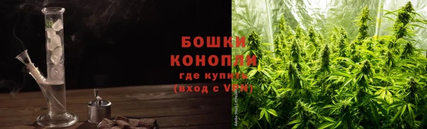 индика Арсеньев