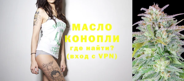 индика Арсеньев