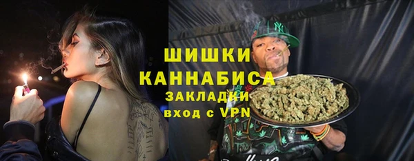 стаф Аркадак