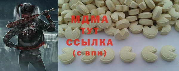 стаф Аркадак