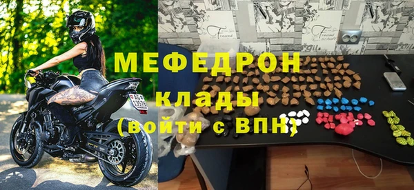 индика Арсеньев