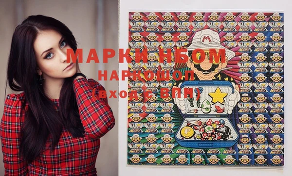стаф Аркадак