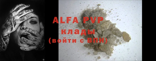 индика Арсеньев