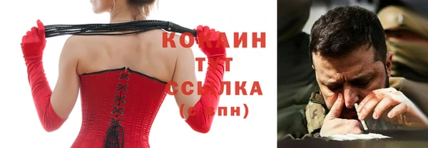 стаф Аркадак