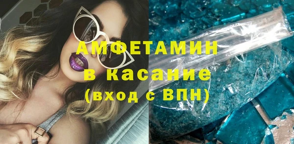 индика Арсеньев