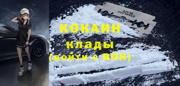 индика Арсеньев