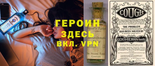 индика Арсеньев