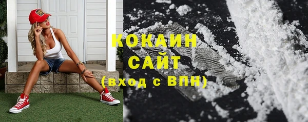 стаф Аркадак