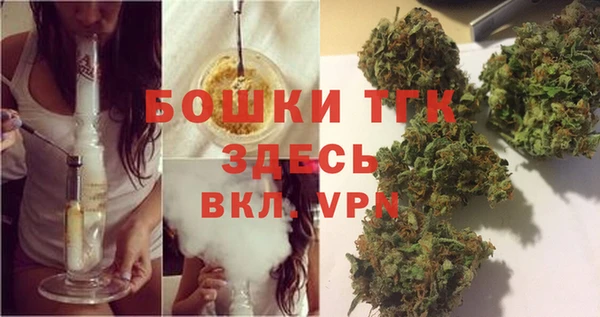 индика Арсеньев