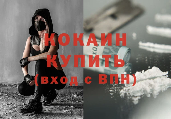 индика Арсеньев