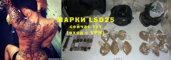стаф Аркадак