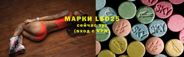 индика Арсеньев