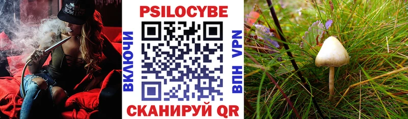 Галлюциногенные грибы Magic Shrooms Глазов