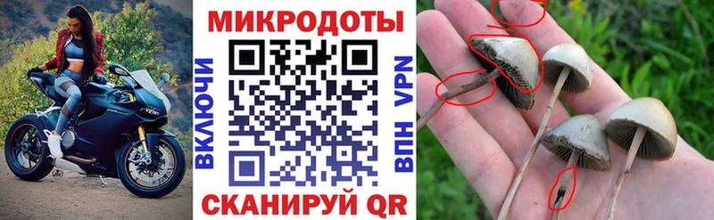 где продают Глазов Псилоцибиновые грибы прущие грибы